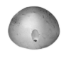 Variprop propeller nut DF-107