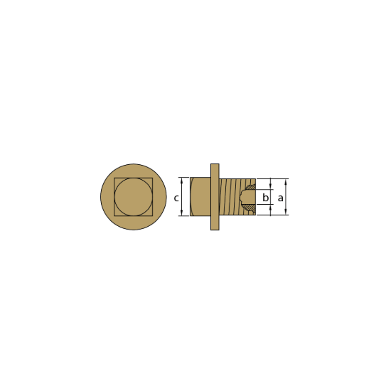 Volvo Penta brass plug th.1'' Gas