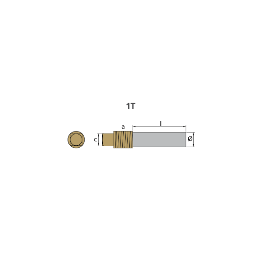 General Motors pencil anode Ø 13 L.40 complete with brass plug th.3/8''Bspt