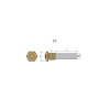 Isotta Fraschini pencil anode Ø14 L. 20mm M8 complete with brass plug 18x1,5