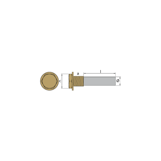 Scania pencil anode Ø 17 L. 45 complete with brass plug th.1/2'GAS